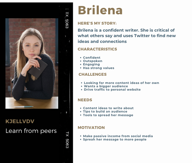 audience research persona